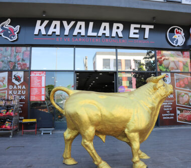 kaya-res1 kaya-res1